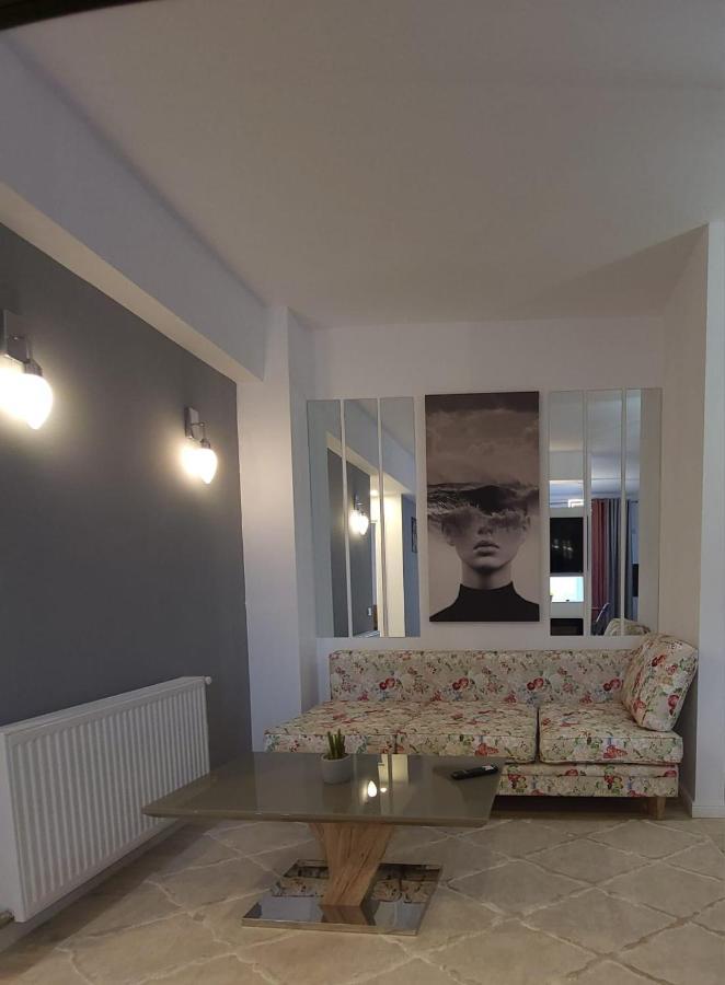 David'S Place Floreşti エクステリア 写真
