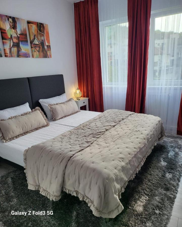 David'S Place Floreşti エクステリア 写真