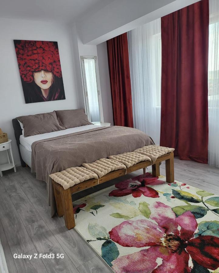 David'S Place Floreşti エクステリア 写真
