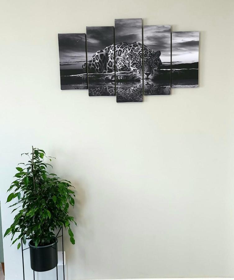 David'S Place Floreşti エクステリア 写真