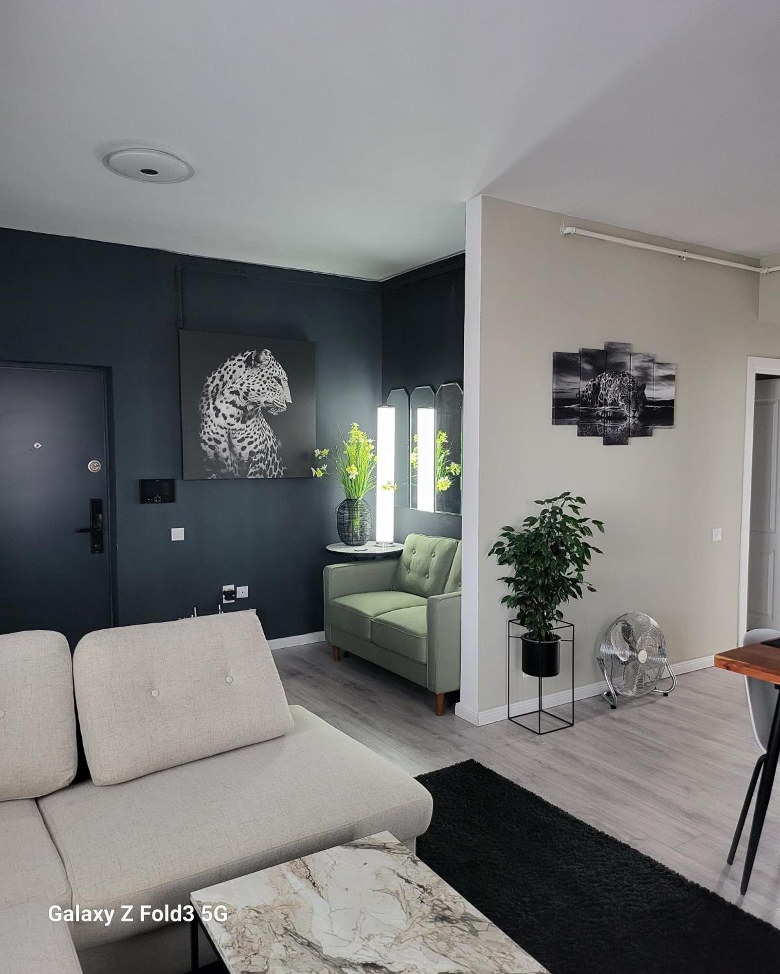 David'S Place Floreşti エクステリア 写真