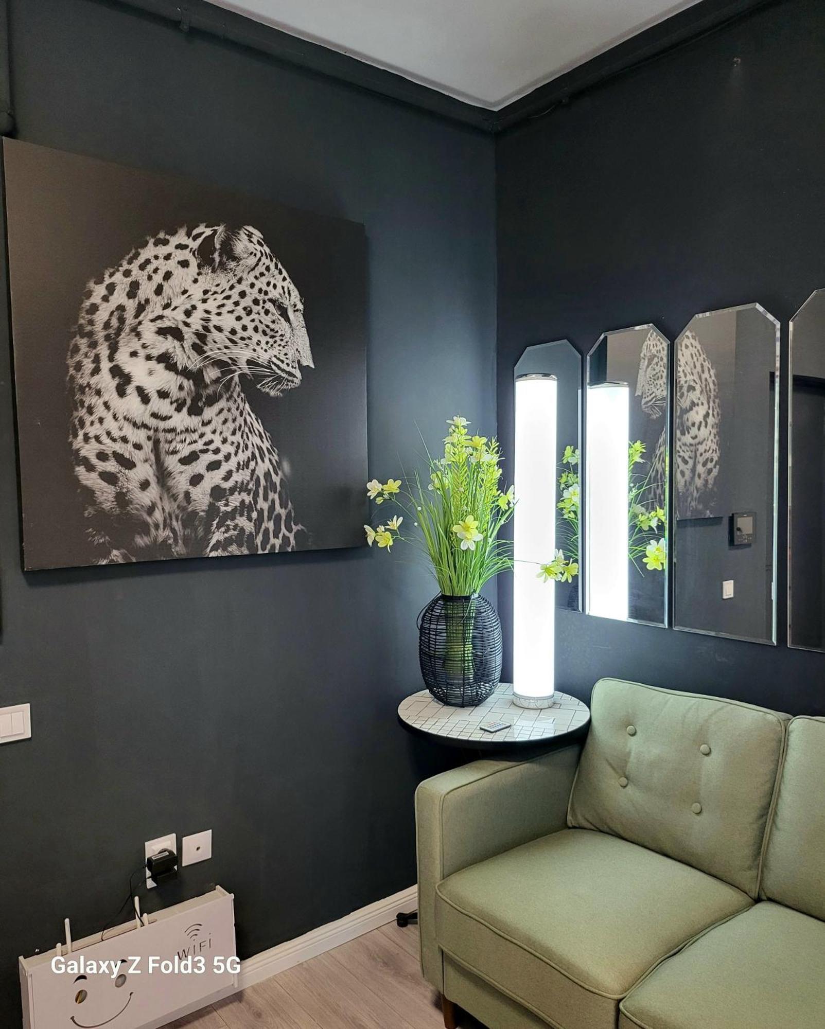 David'S Place Floreşti 部屋 写真